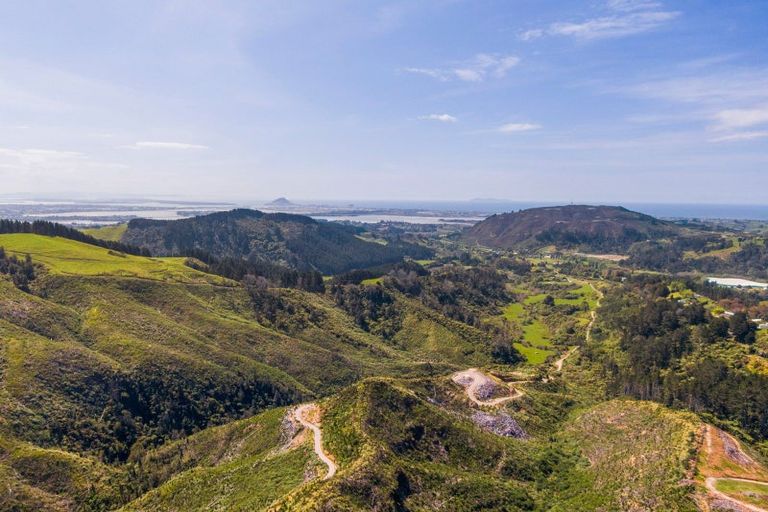 Photo of property in 316b Waitao Road, Waitao, Tauranga, 3175