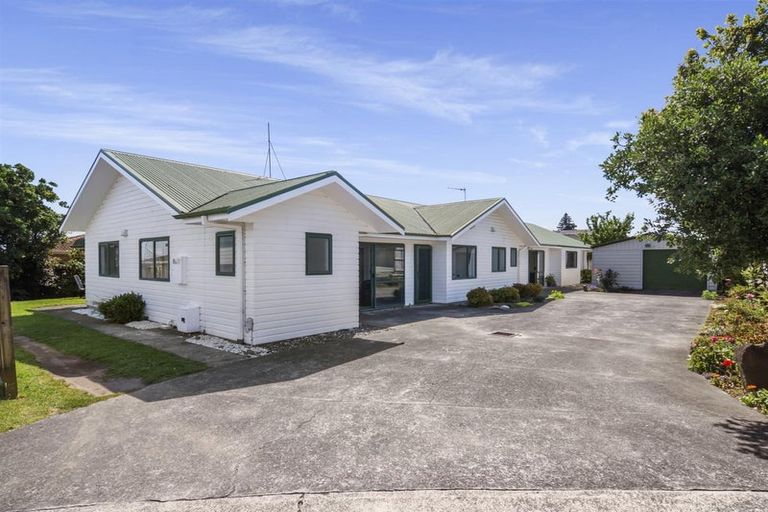 Photo of property in 160 Boucher Avenue, Te Puke, 3119