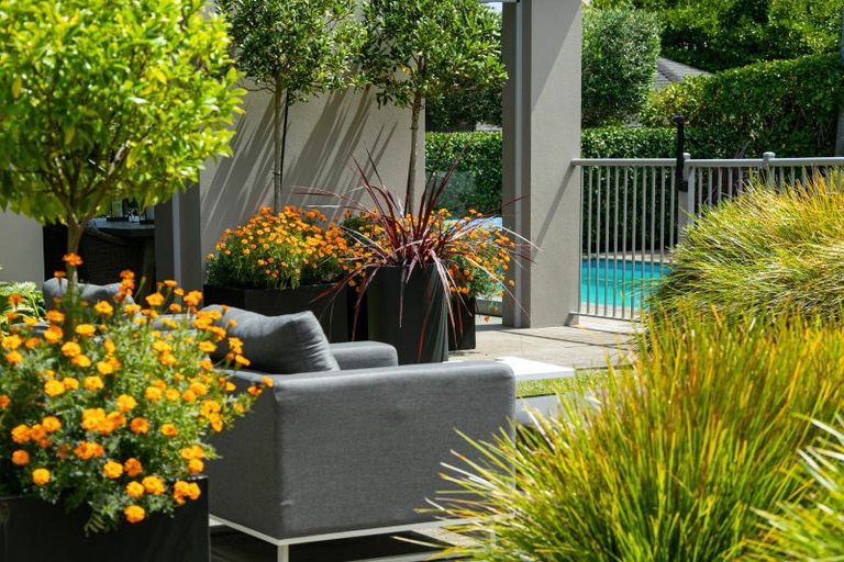 Photo of property in 35 Pounamu Avenue, Greenhithe, Auckland, 0632