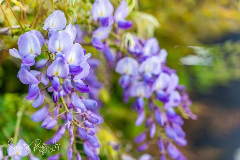 Photo of property in 109 Hurndall Street East, Maungaturoto, 0520