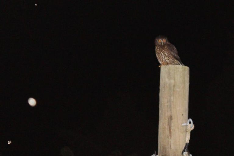 Photo of property in 375 Hot Springs Road, Tahawai, Katikati, 3178