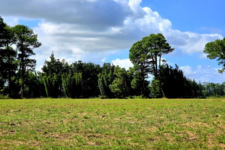 Photo of property in 327 Spains Road, Awanui, 0486