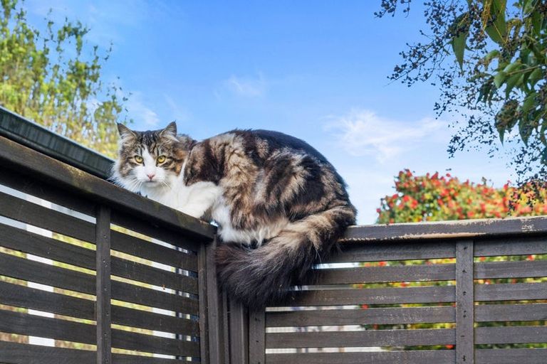 Photo of property in 12 Campbell Street, Leamington, Cambridge, 3432