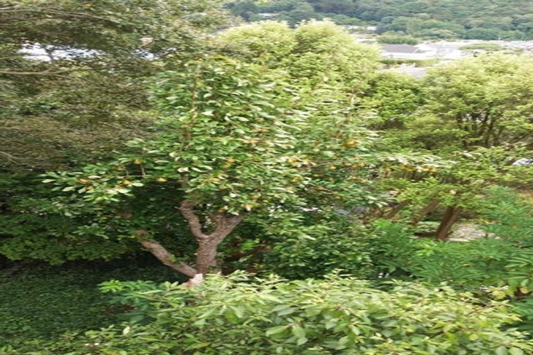 Photo of property in 65 Evans Street, Opoho, Dunedin, 9010