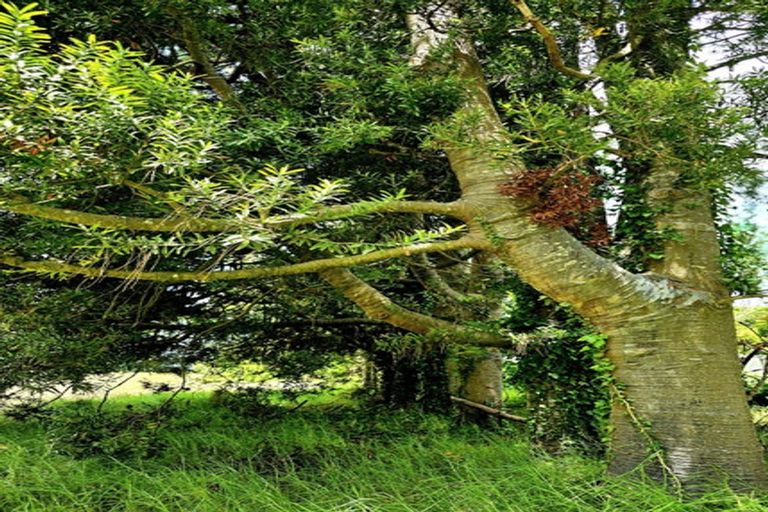 Photo of property in 327 Spains Road, Awanui, 0486