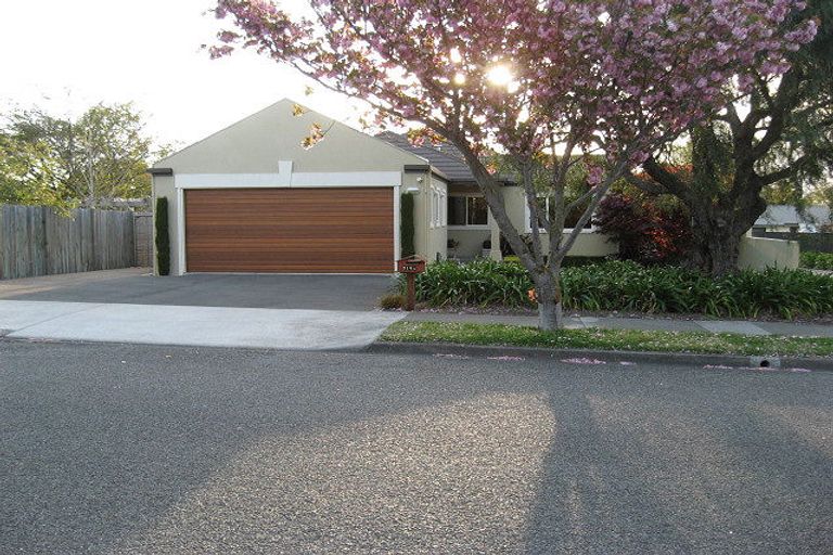 Photo of property in 314a Scott Street, Witherlea, Blenheim, 7201