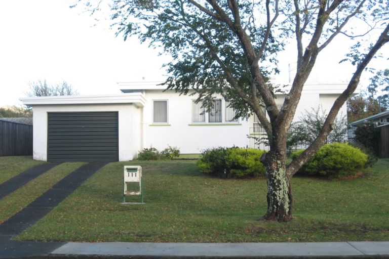 Photo of property in 111 Alexander Road, Raumati Beach, Paraparaumu, 5032