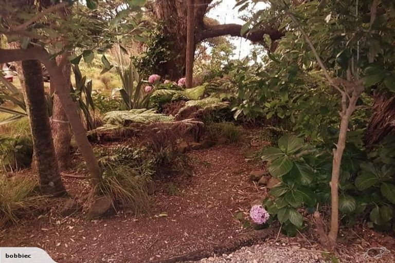 Photo of property in 54 Beach Valley Road, Piha, New Lynn, 0772