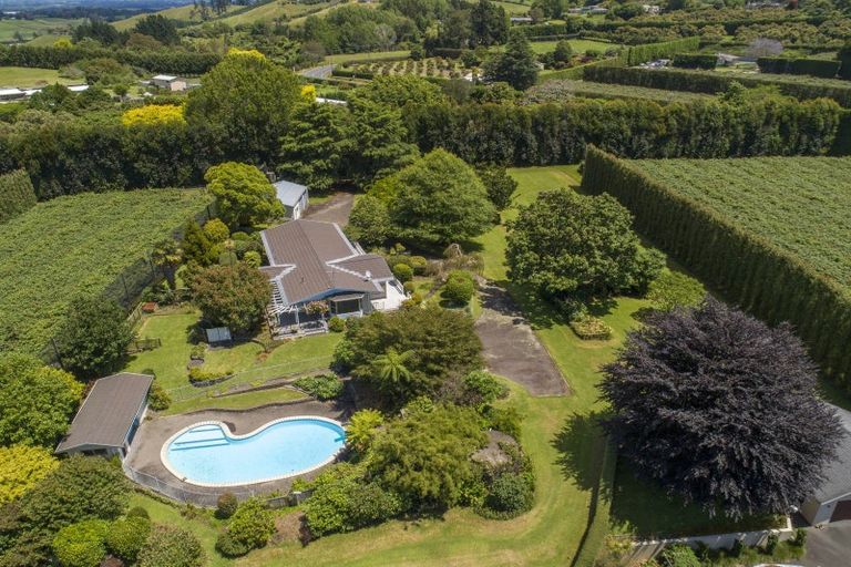 Photo of property in 205a Wairoa Road, Minden, Tauranga, 3171