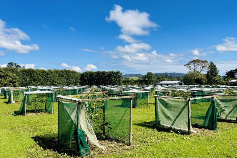 Photo of property in 2/792 No 2 Road, Te Ranga, Te Puke, 3182