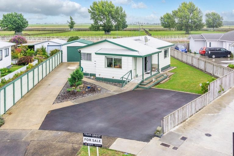 Photo of property in 24 Shelley Jane Place, Dinsdale, Hamilton, 3204