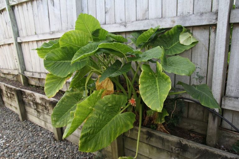 Photo of property in 32b Ranginui Road, Welcome Bay, Tauranga, 3112