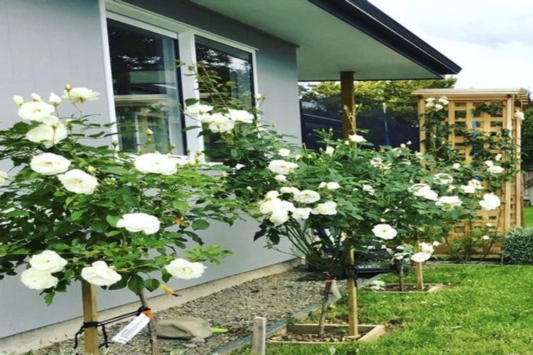 Photo of property in 11a Hillcrest Street, Solway, Masterton, 5810