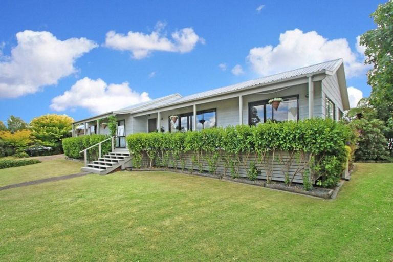 Photo of property in 42 Hibiscus Avenue, Hamilton Lake, Hamilton, 3204