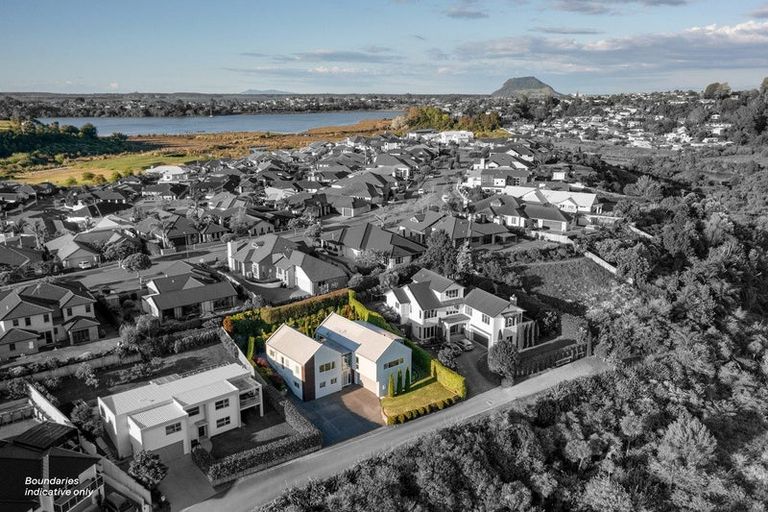 Photo of property in 167 Carmichael Road, Bethlehem, Tauranga, 3110