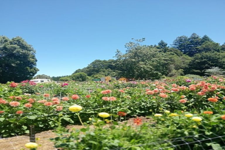 Photo of property in 288 Oropi Gorge Road, Oropi, Tauranga, 3173