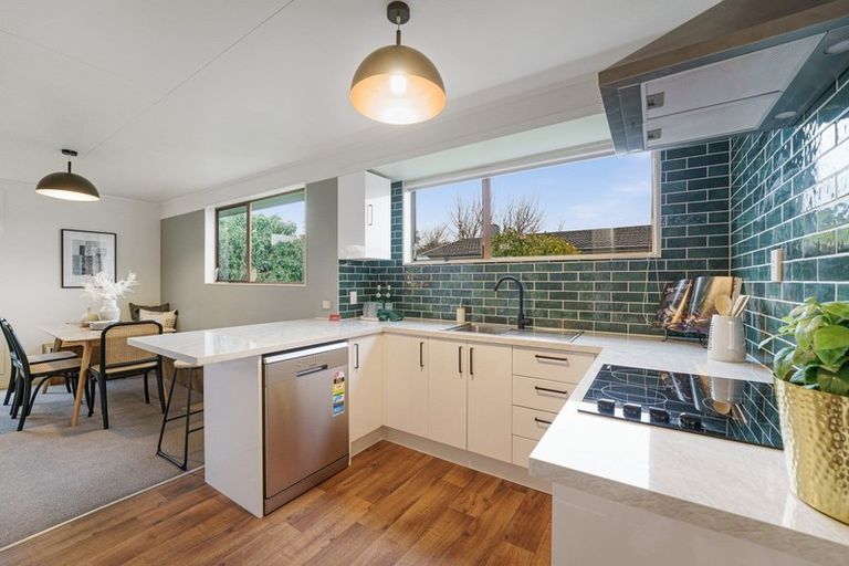 Photo of property in 3 Matipo Street, Levin, 5510