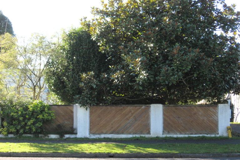 Photo of property in 30 Nixon Street, Hamilton East, Hamilton, 3216