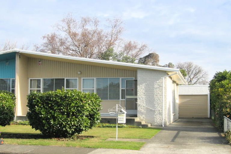 Photo of property in 910 Rata Street, Mahora, Hastings, 4120