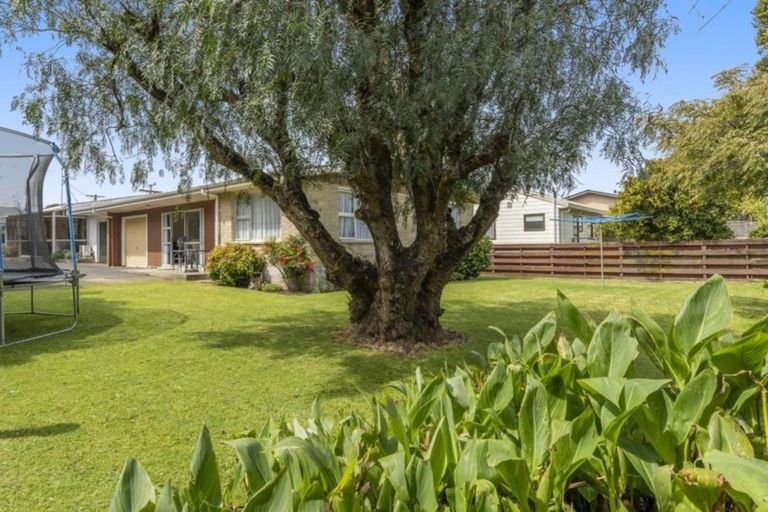 Photo of property in 20b Jefferson Place, Brookfield, Tauranga, 3110