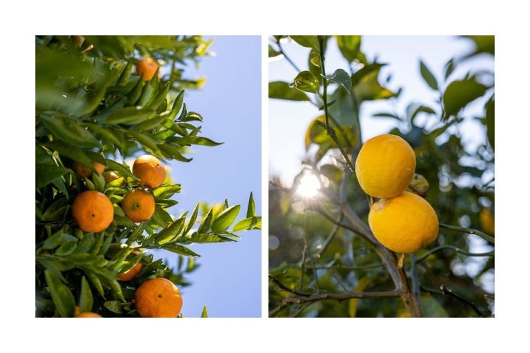 Photo of property in 302 Ballintoy Park Drive, Welcome Bay, Tauranga, 3175