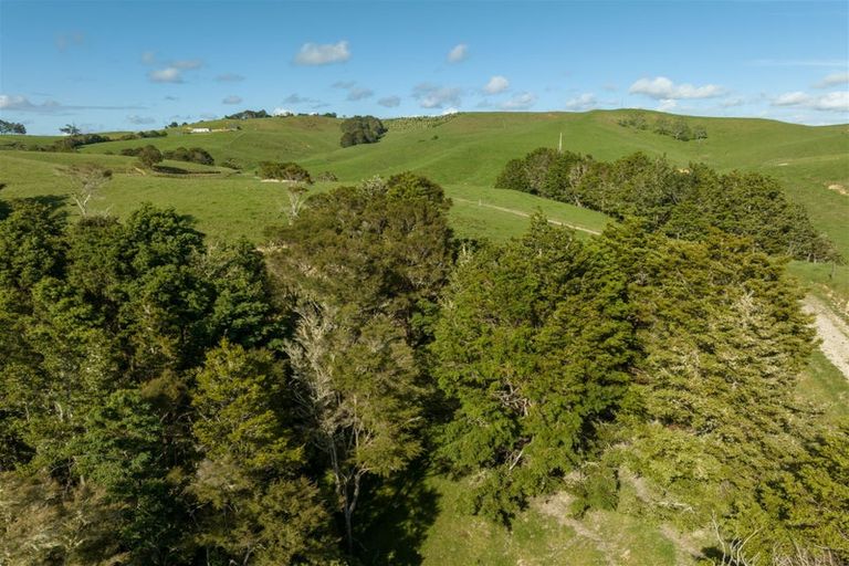 Photo of property in 67 Fraser Road, Kawakawa, 0210