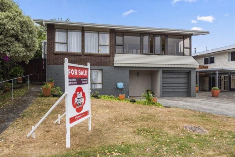 Photo of property in 12 Dakota Grove, Totara Park, Upper Hutt, 5018