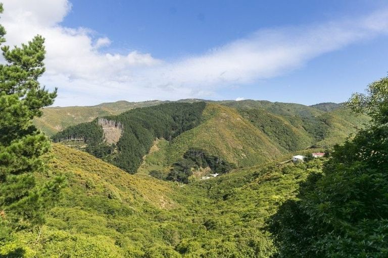 Photo of property in 6b Winnipeg Way, Kingston, Wellington, 6021