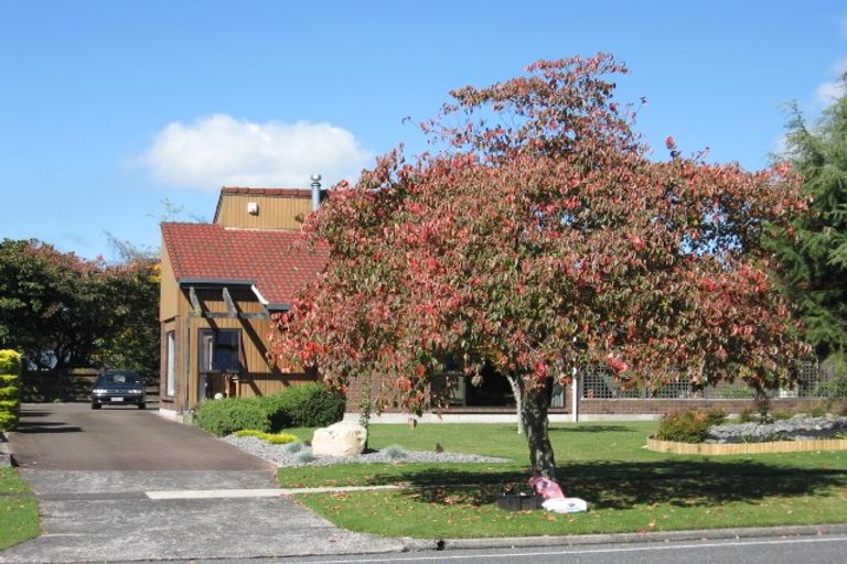 Photo of property in 113 Balmoral Drive, Tokoroa, 3420