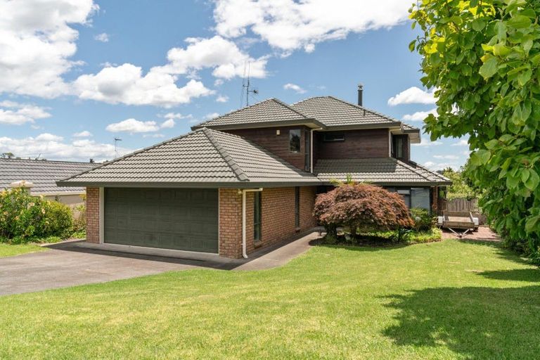 Photo of property in 117 Haukore Street, Hairini, Tauranga, 3112