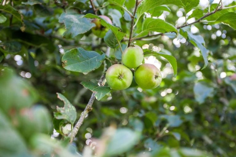 Photo of property in 721 Thornton Road, Thornton, Whakatane, 3193