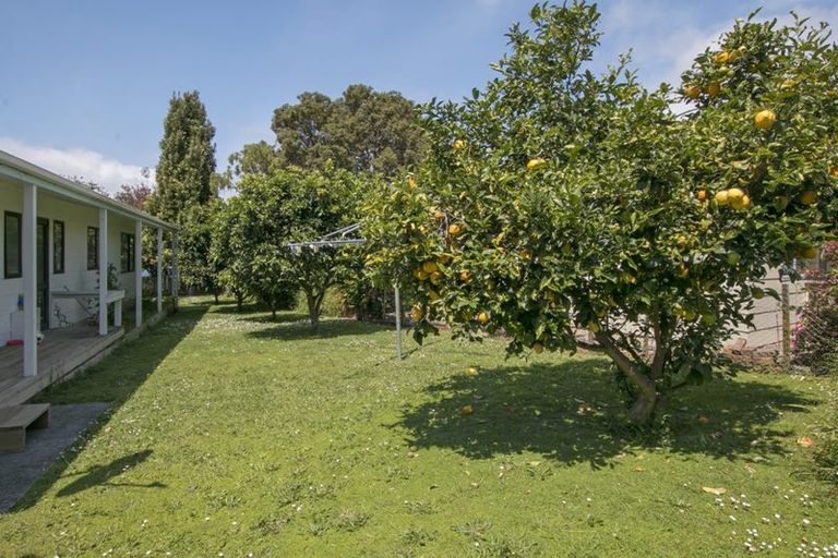 Photo of property in 130 Athenree Road, Athenree, Katikati, 3177