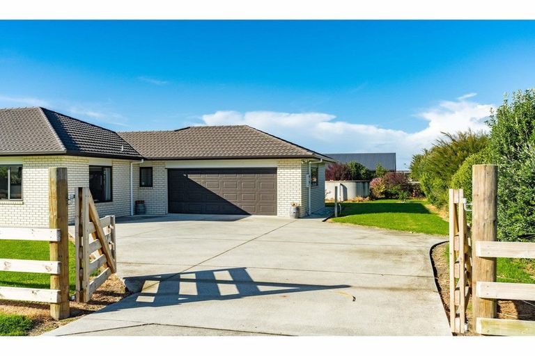 Photo of property in 127 Mangawhai Heads Road, Mangawhai Heads, Kaiwaka, 0573