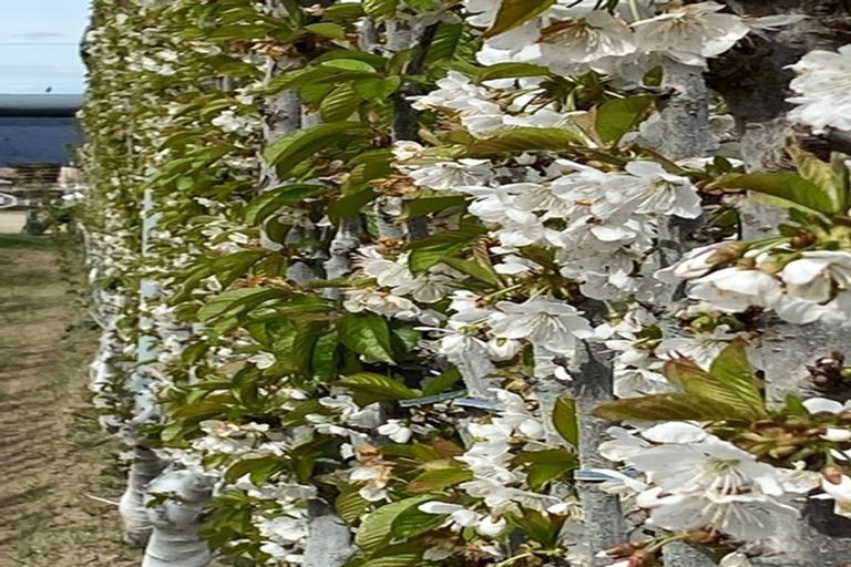 Photo of property in 592 Springvale Road, Springvale, Alexandra, 9393