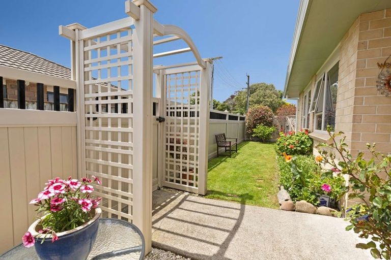 Photo of property in 61 Winchester Street, Levin, 5510