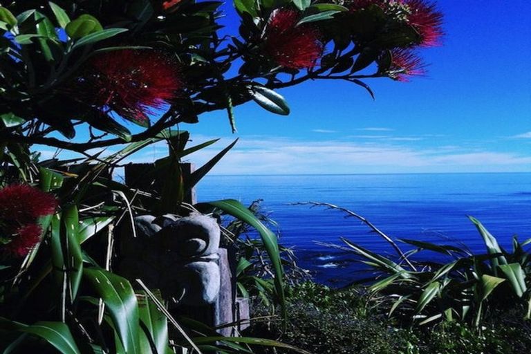 Photo of property in 50 High Street, Island Bay, Wellington, 6023