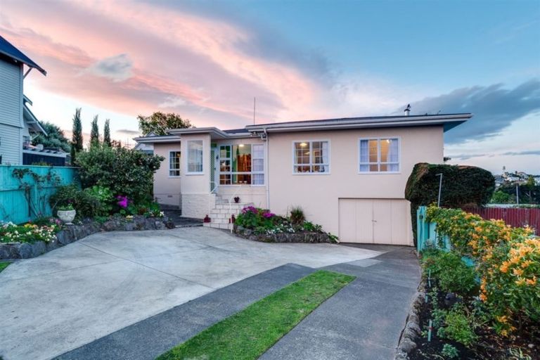 Photo of property in 6 Sealy Road, Bluff Hill, Napier, 4110