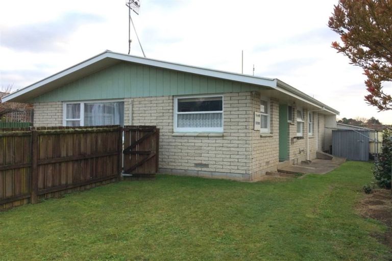 Photo of property in 117 Bellevue Road, Brookfield, Tauranga, 3110