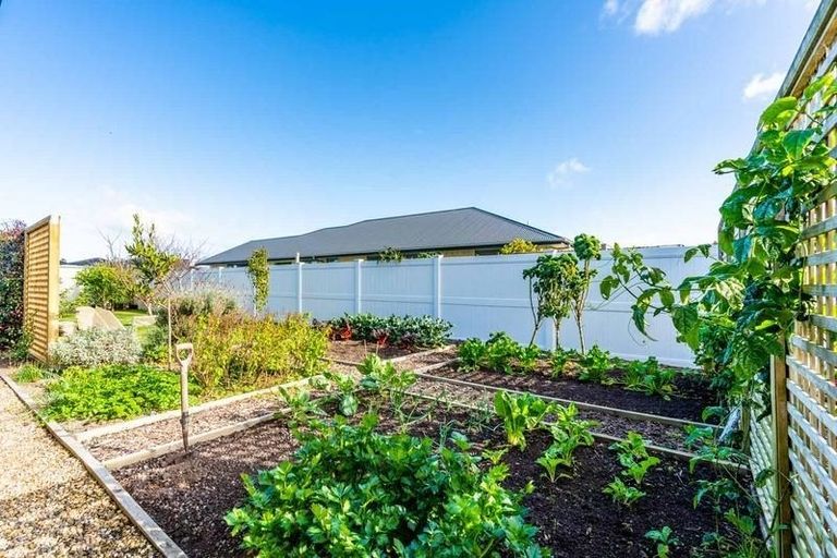 Photo of property in 8 Glen Wallace Road, Waipu, 0510