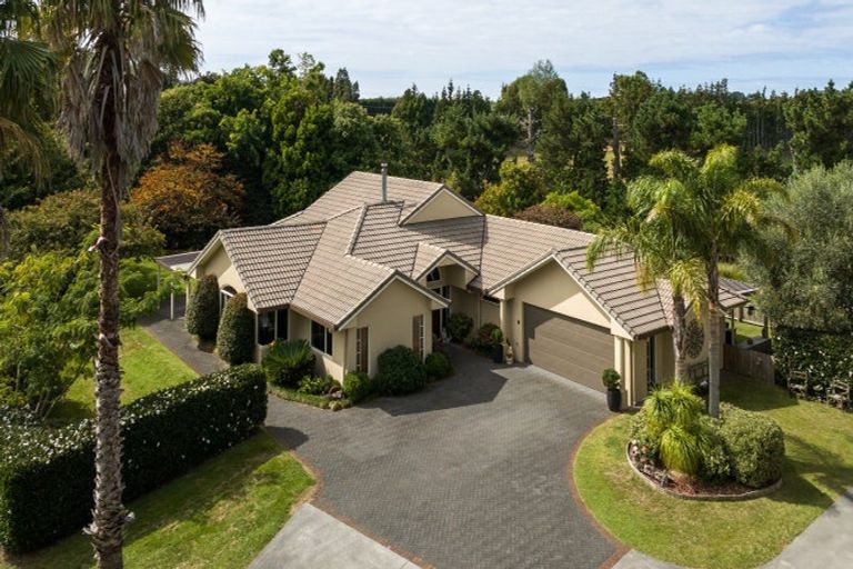 Photo of property in 80 Tuapiro Road, Tahawai, Katikati, 3170