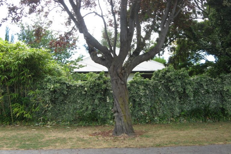 Photo of property in 26 Mersey Street, St Albans, Christchurch, 8014