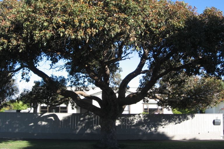 Photo of property in 42 Logan Avenue, Marewa, Napier, 4110