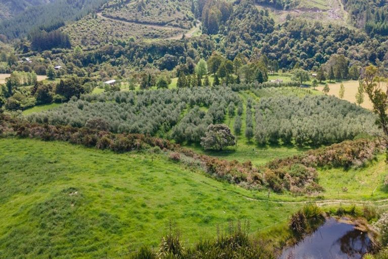 Photo of property in 145 Andrews Road, Wairoa Valley, Brightwater, 7091