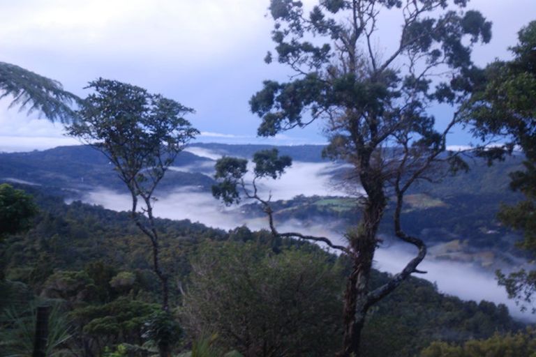 Photo of property in 45 Jonkers Road, Waitakere, Henderson, 0782