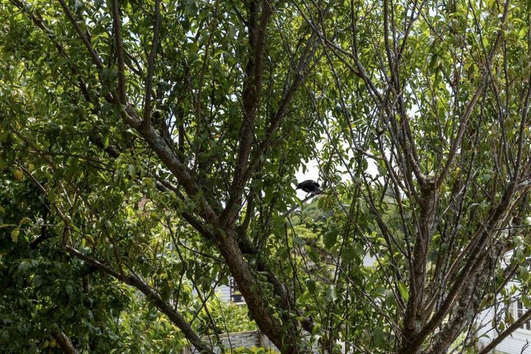 Photo of property in 4a Clerke Place, Marfell, New Plymouth, 4310