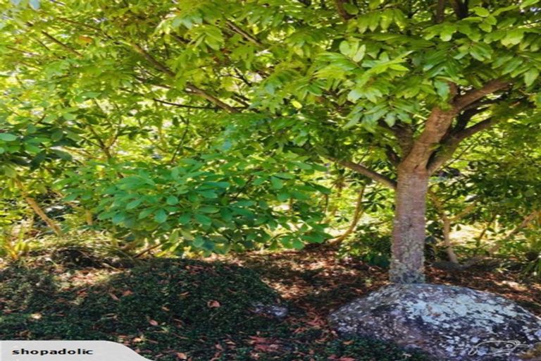 Photo of property in 229 Little Sydney Road, Brooklyn, Motueka, 7198