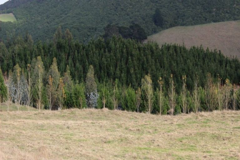 Photo of property in 45 Charnley Way, Kinloch, Taupo, 3385