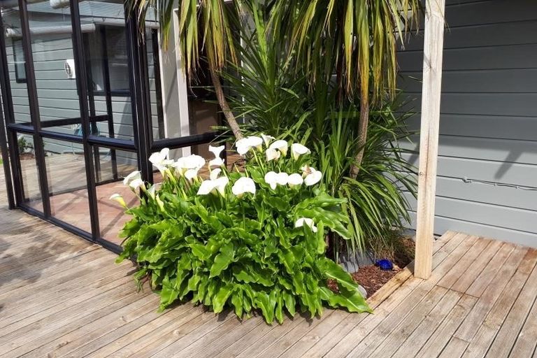 Photo of property in 49 Satara Crescent, Khandallah, Wellington, 6035