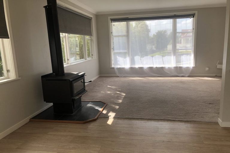 Photo of property in 60 Wakeman Street, Pahiatua, 4910