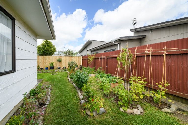 Photo of property in 46 Weld Street, Feilding, 4702